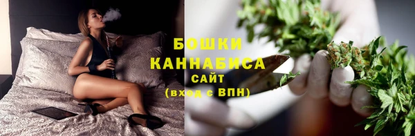 PSILOCYBIN Белоозёрский
