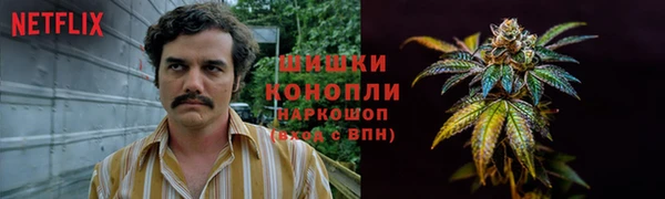 PSILOCYBIN Богородицк