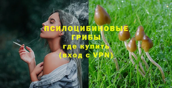 PSILOCYBIN Богородицк