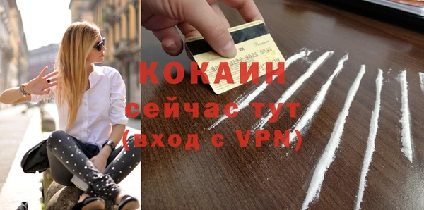 PSILOCYBIN Богородицк