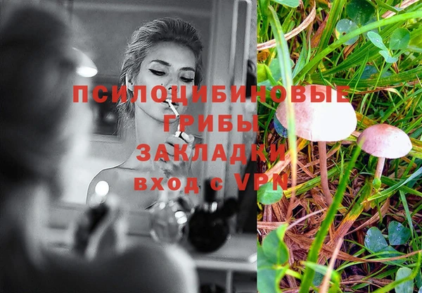 PSILOCYBIN Богородицк