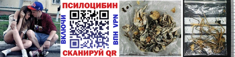 цены наркотик  Вязьма  Псилоцибиновые грибы мухоморы 